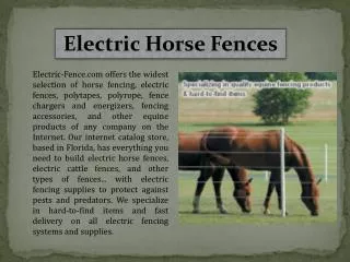 Electric Horse Fences