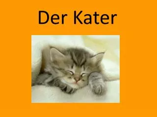der kater