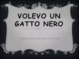volevo un gatto nero
