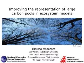 Improving the representation of large carbon pools in ecosystem models