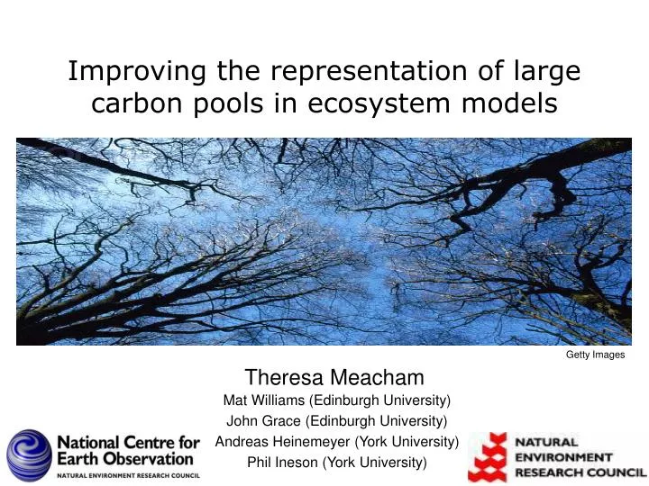 improving the representation of large carbon pools in ecosystem models