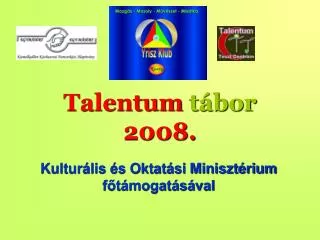 talentum t bor 2008