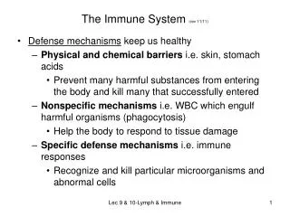 The Immune System (rev 11/11)