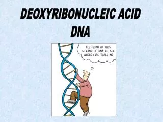 DEOXYRIBONUCLEIC ACID DNA