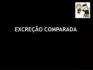 excre o comparada