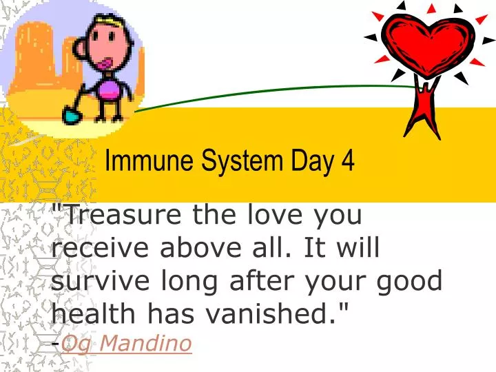 immune system day 4