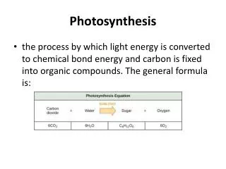 photosynthesis