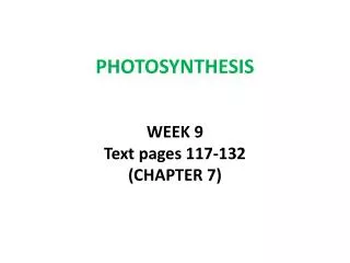 PHOTOSYNTHESIS