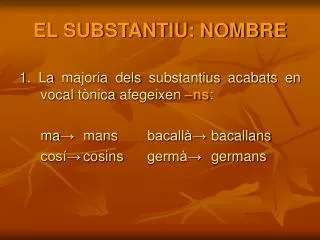 el substantiu nombre