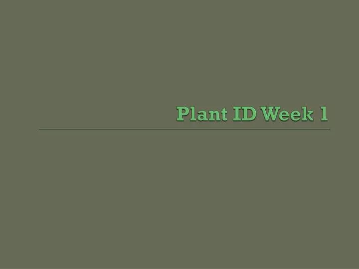 plant id week 1