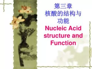 nucleic acid structure and function
