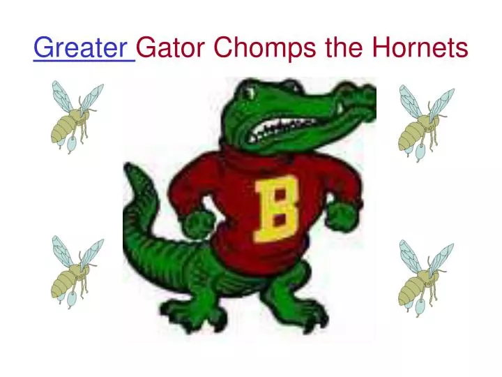 greater gator chomps the hornets