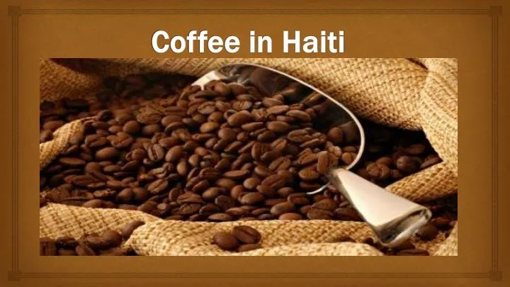 coffee in haiti