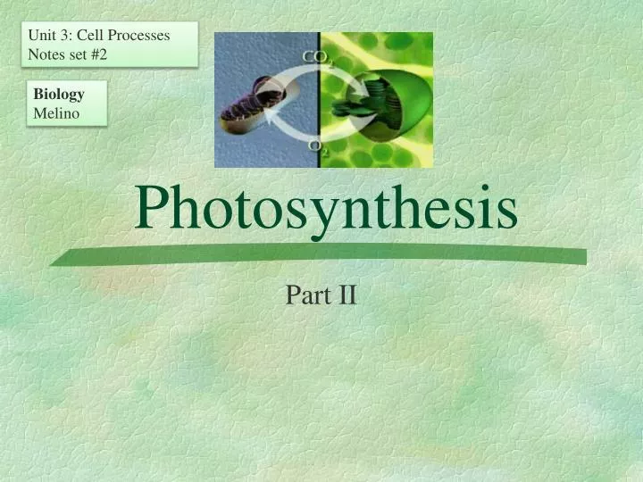 photosynthesis