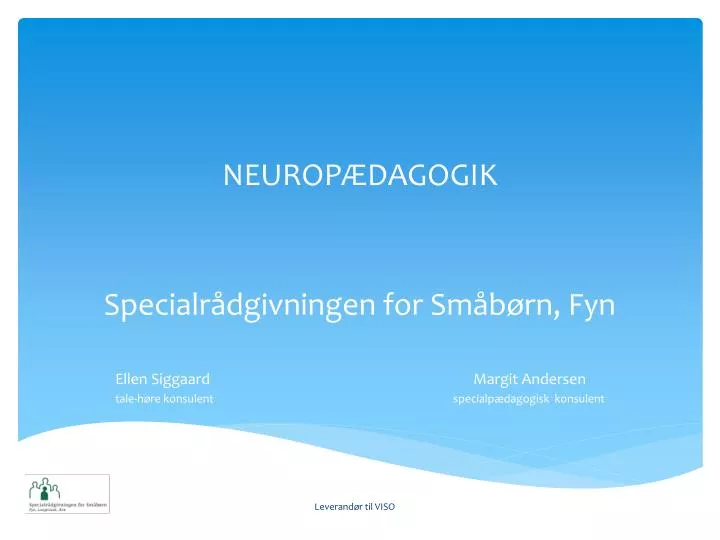 neurop dagogik specialr dgivningen for sm b rn fyn