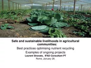 Safe and sustainable livelihoods in agricultural communities: