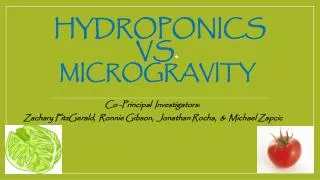 Hydroponics vs . microgravity
