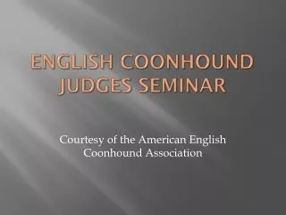 English Coonhound Judges Seminar