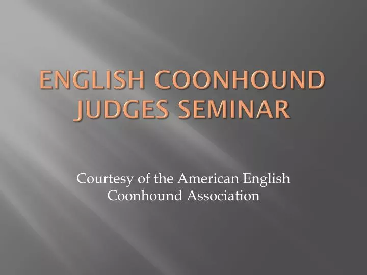 english coonhound judges seminar