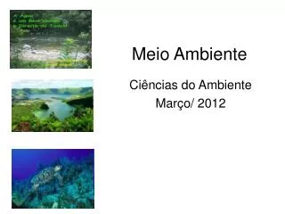 meio ambiente