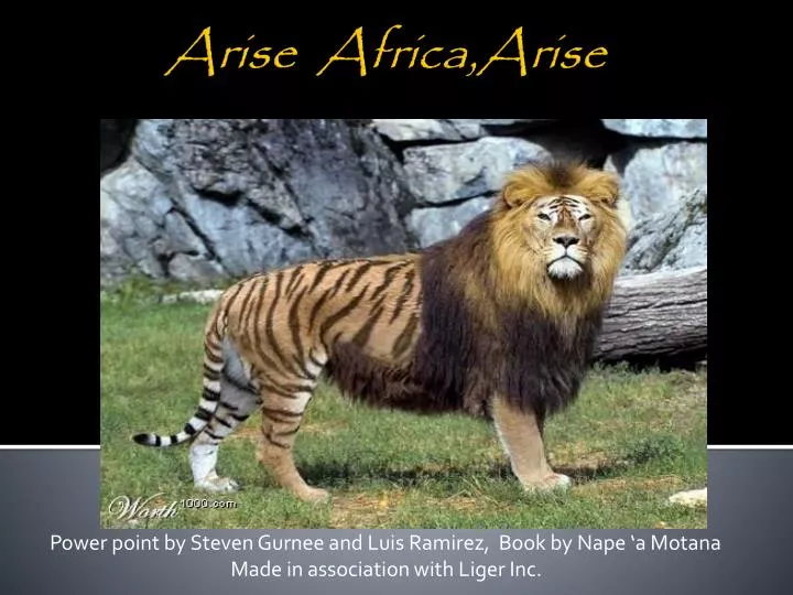 arise africa arise