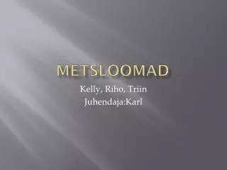 metsloomad