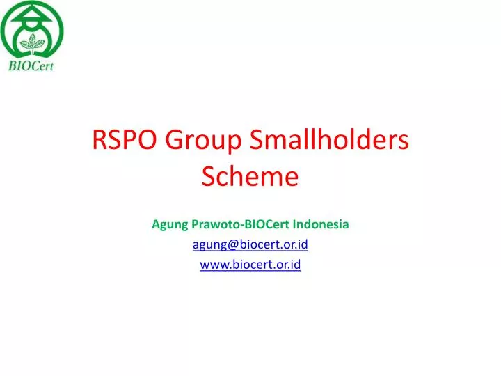 rspo group smallholders scheme