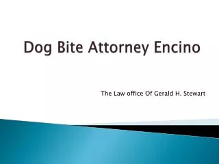 Dog Bite Attorney Encino