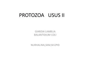 protozoa usus ii