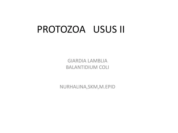 protozoa usus ii