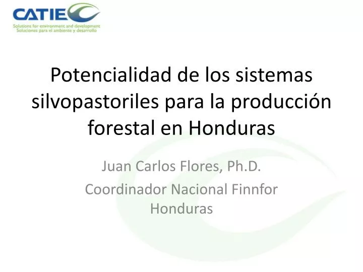 potencialidad de los sistemas silvopastoriles para la producci n forestal en honduras