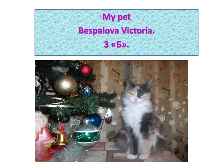 my pet bespalova victoria 3