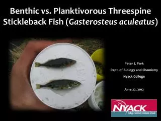 Benthic vs. Planktivorous Threespine Stickleback Fish ( Gasterosteus aculeatus )