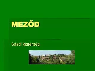 mez d