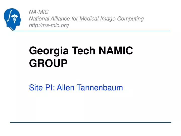 georgia tech namic group