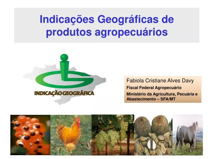 indica es geogr ficas de produtos agropecu rios