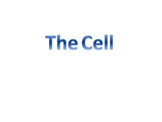 The Cell