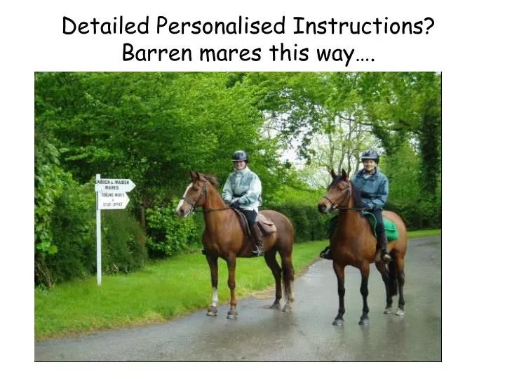 detailed personalised instructions barren mares this way