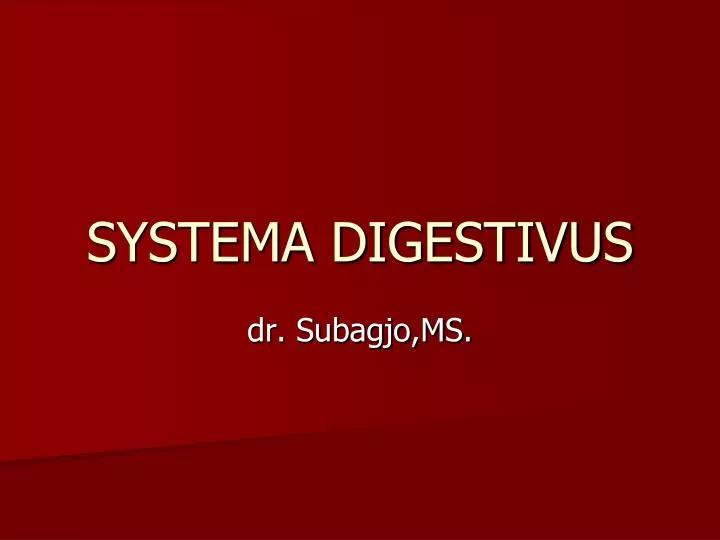 systema digestivus