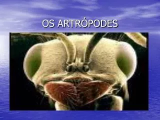 os artr podes