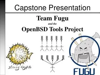 Team Fugu and the OpenBSD Tools Project