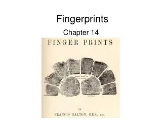 Fingerprints