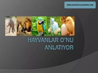 hayvanlar o nu anlatiyor