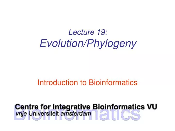 lecture 19 evolution phylogeny