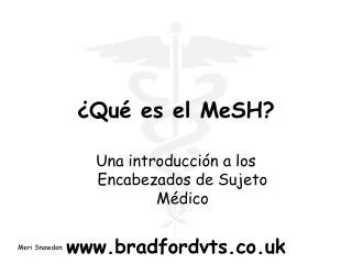 qu es el mesh