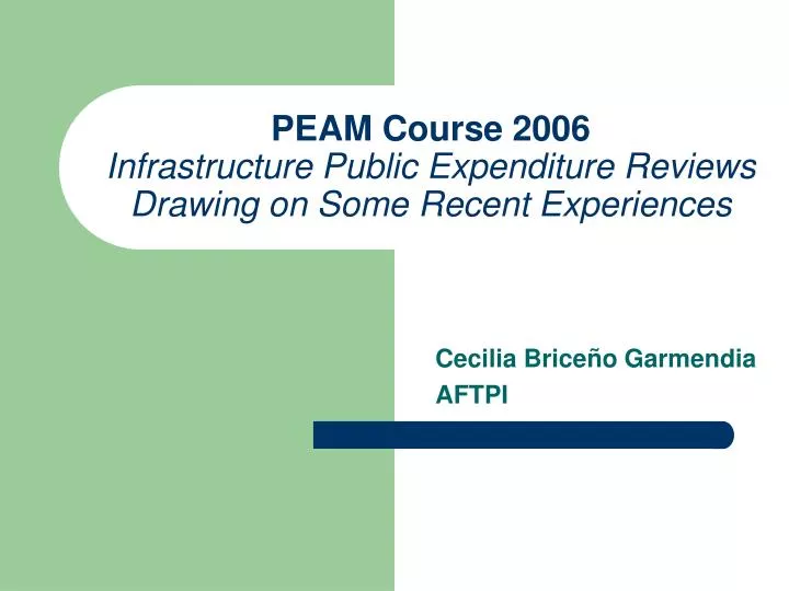 peam course 2006 infrastructure public expenditure reviews drawing on some recent experiences