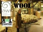 WOOL - slide 1