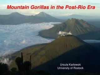 Mountain Gorillas in the Post-Rio Era