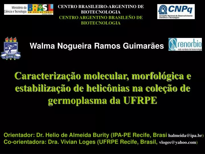 caracteriza o molecular morfol gica e estabiliza o de helic nias na cole o de germoplasma da ufrpe