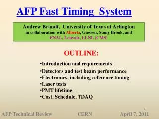 AFP Fast Timing System